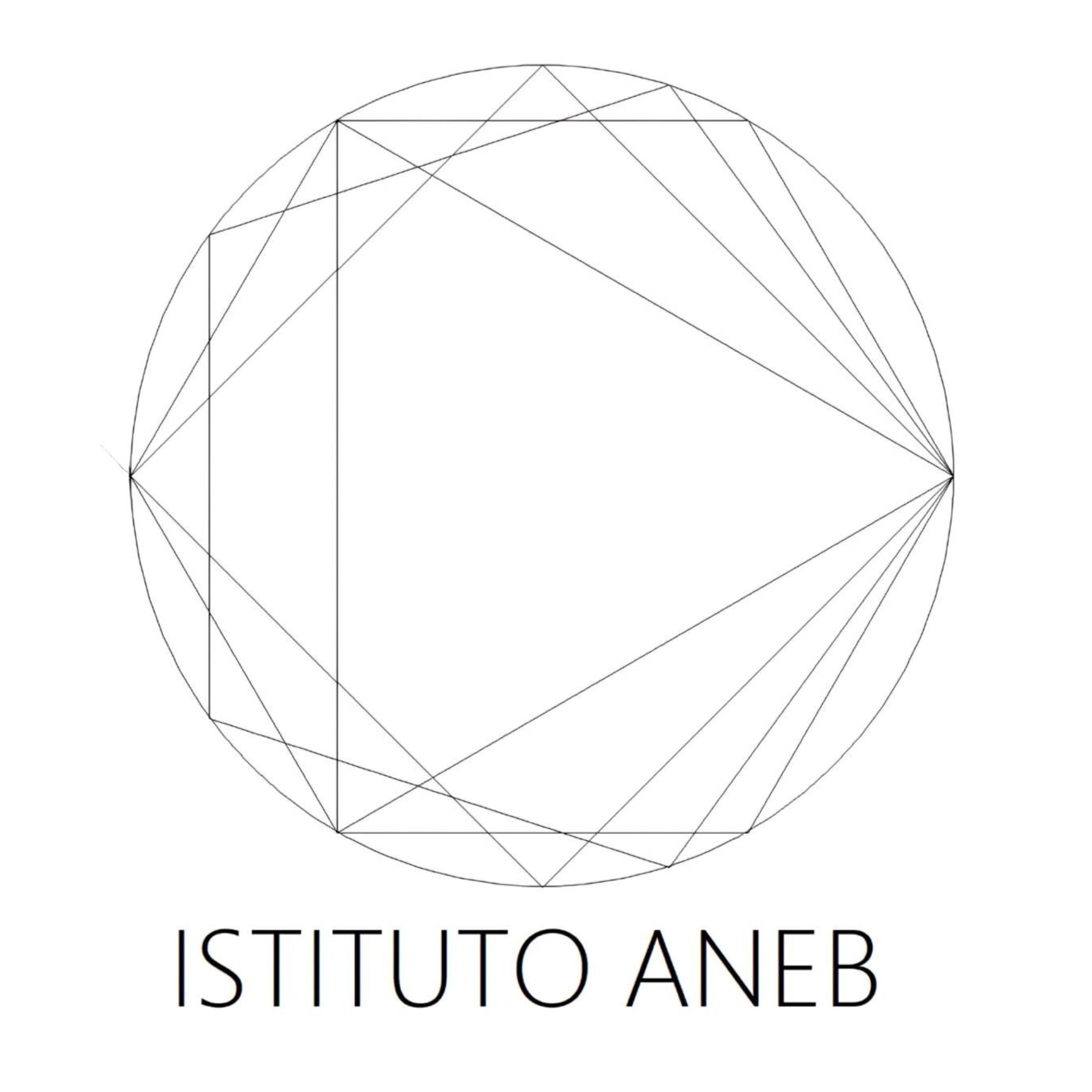 Istituto ANEB
